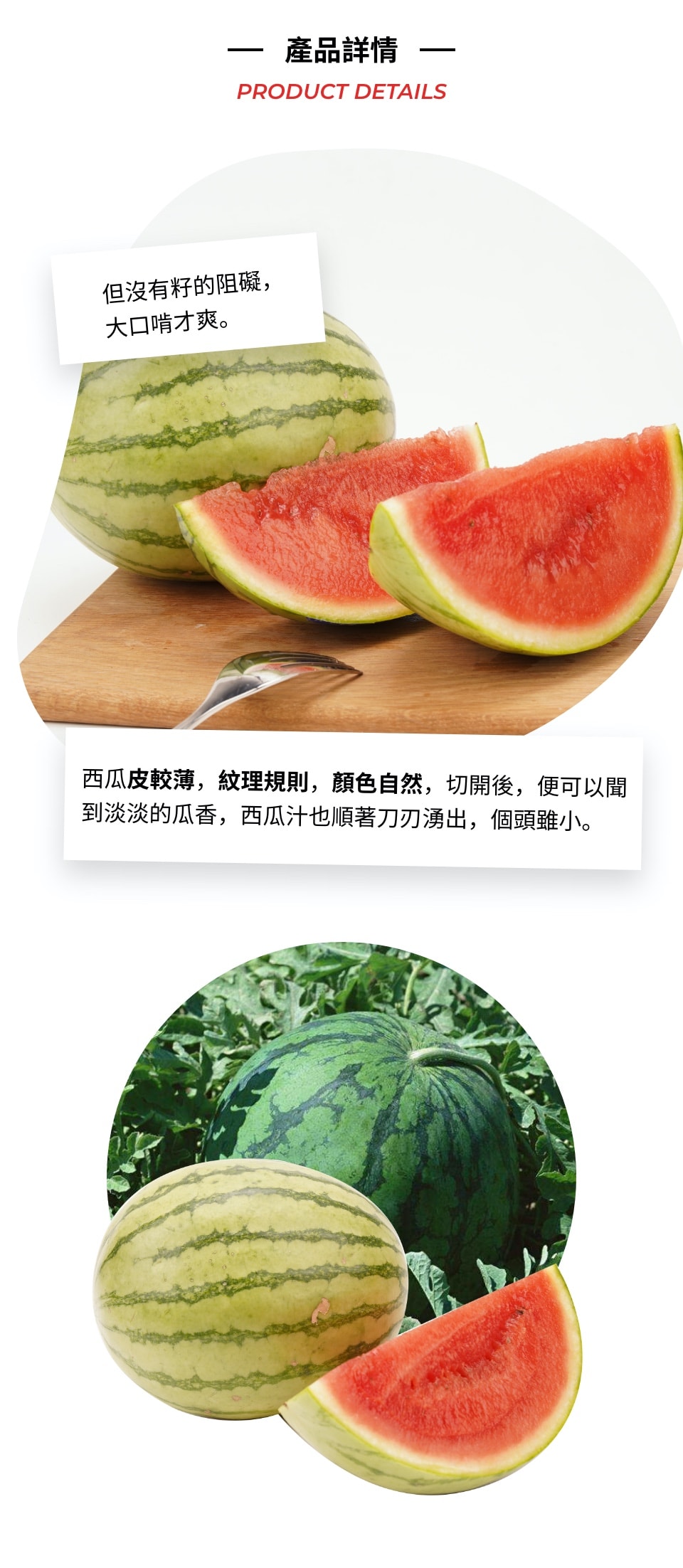 迷你无籽西瓜(~2lbs) ｜ 大統華超級市場