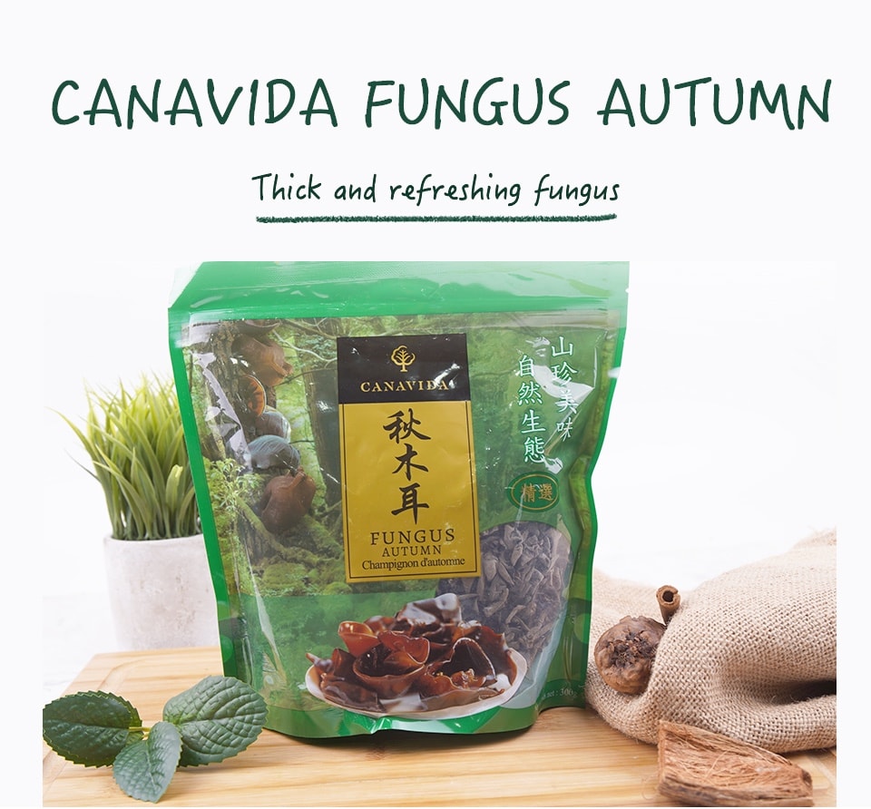 FUNGUS 完売間近！！ イージーフラスコ 25cm2(0.2μmフィルター) /1-7365-02 FUNGUS