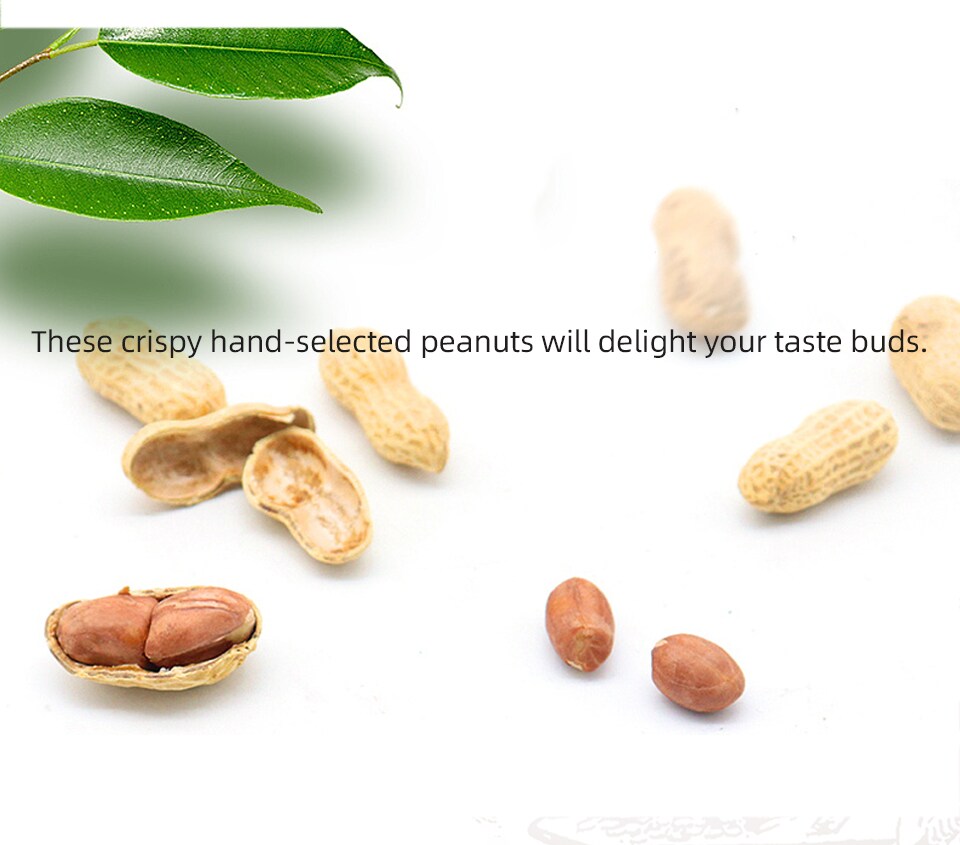 peanut出品　（バラ売） Jia Fu Li Spices Roasted & Unshelled Peanuts (400g) | T&T