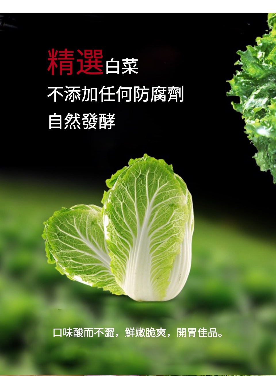 白菜 F1 耐病郷秋 80日白菜 | 花＆グリーン 通販 | ホームセンターの