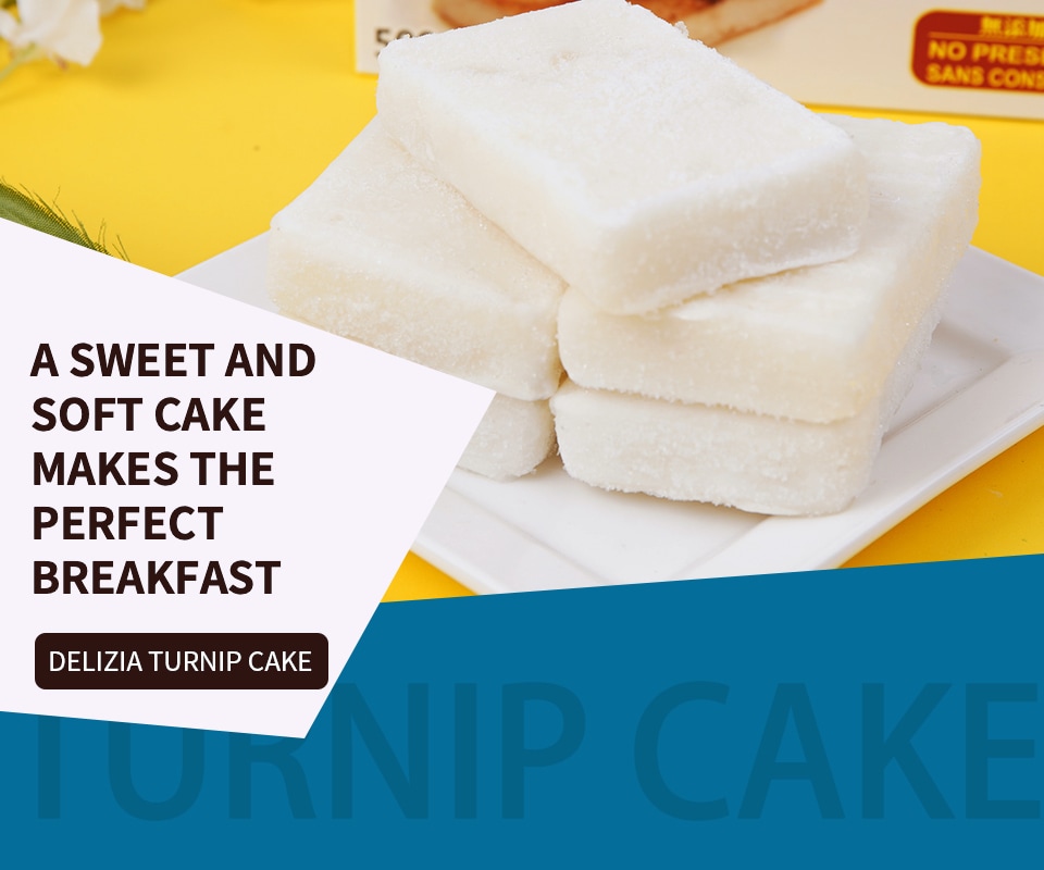 Delizia Taiwanese Style Turnip Cake (50gx10) ｜ 大统华超级市场