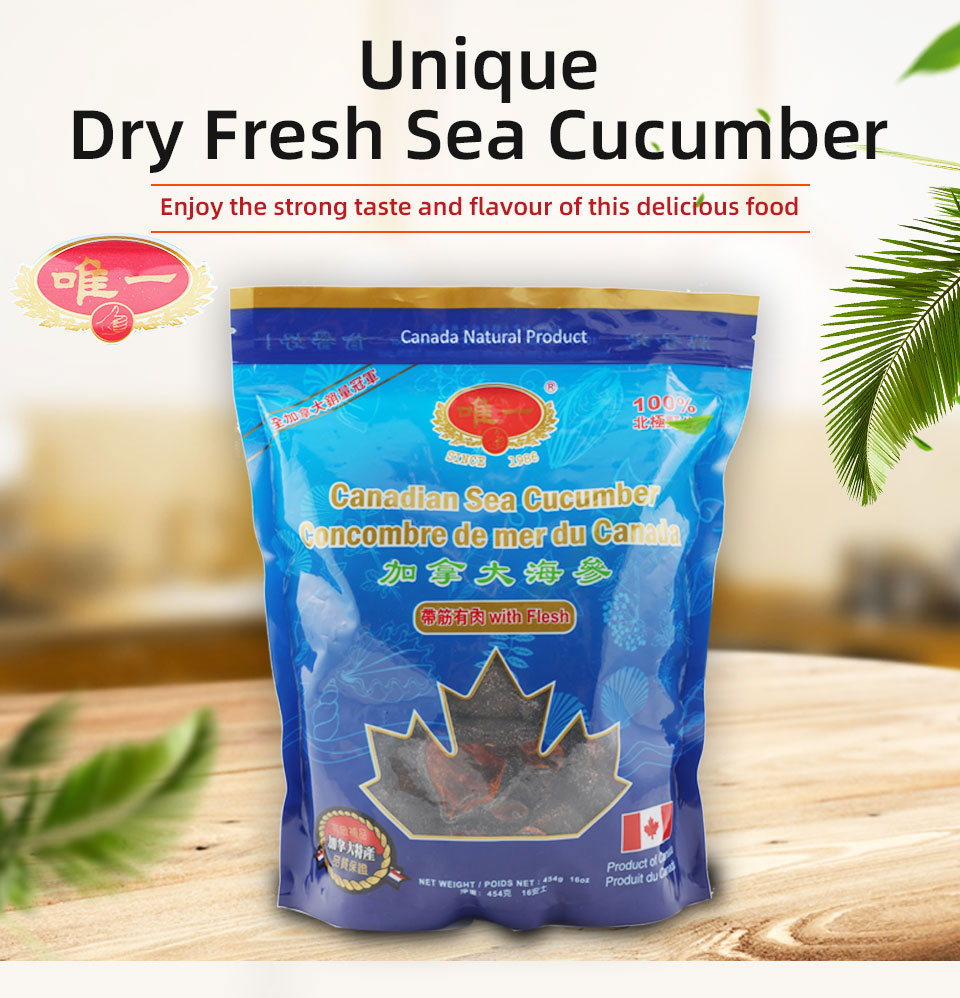 乾燥海参、大連特産 海参 48g 乾燥ナマコ特A級品Sサイズ100g(化粧箱入り) 1本4g〜6g前後(特A