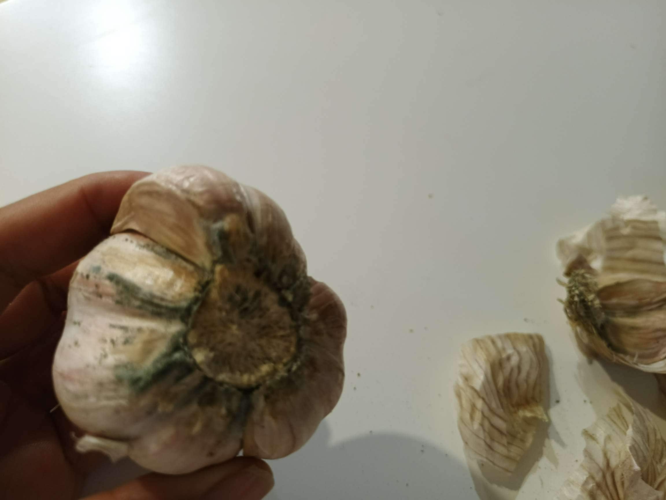 Colossal Garlic (~1.8lb) ｜ 大統華超級市場