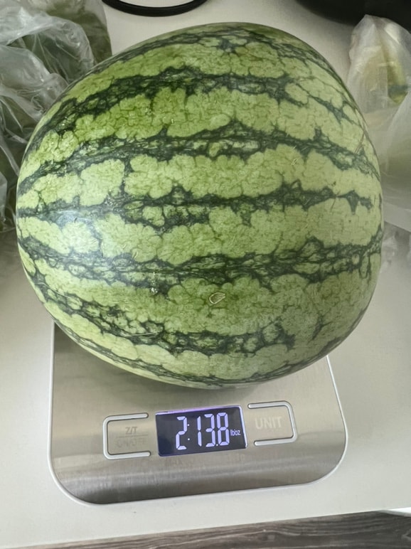 迷你无籽西瓜(~2lbs) ｜ 大統華超級市場