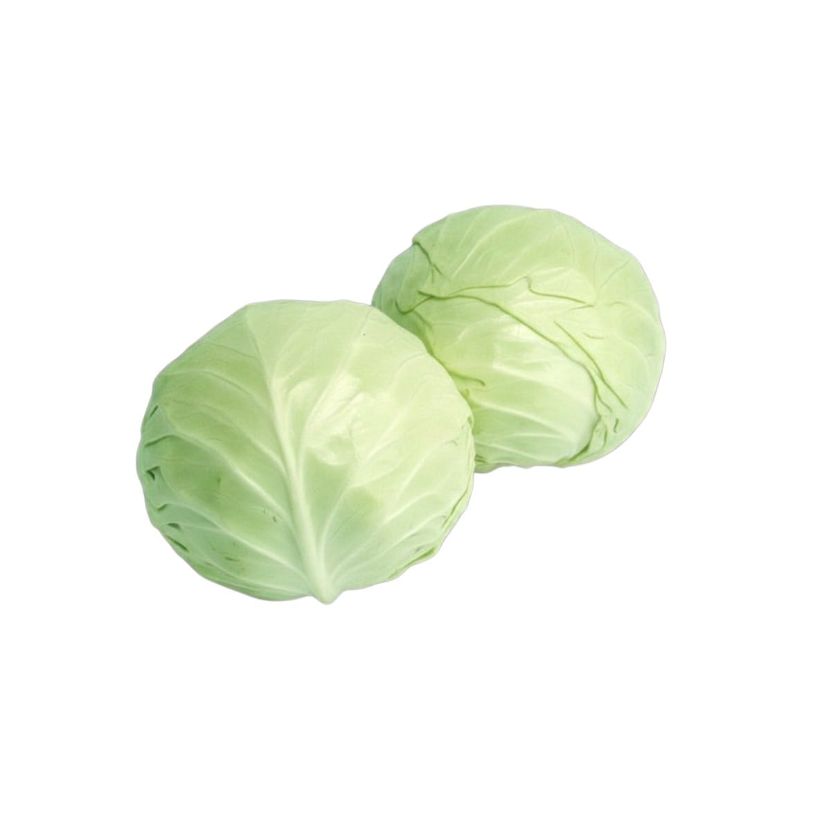 Chou Plat Taïwanais (8lb)