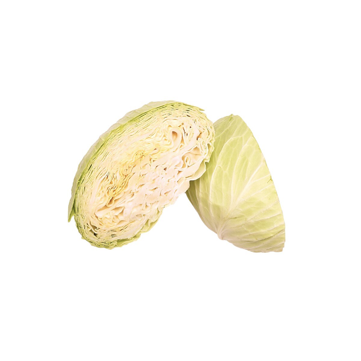 Chou Plat Taïwanais (8lb)