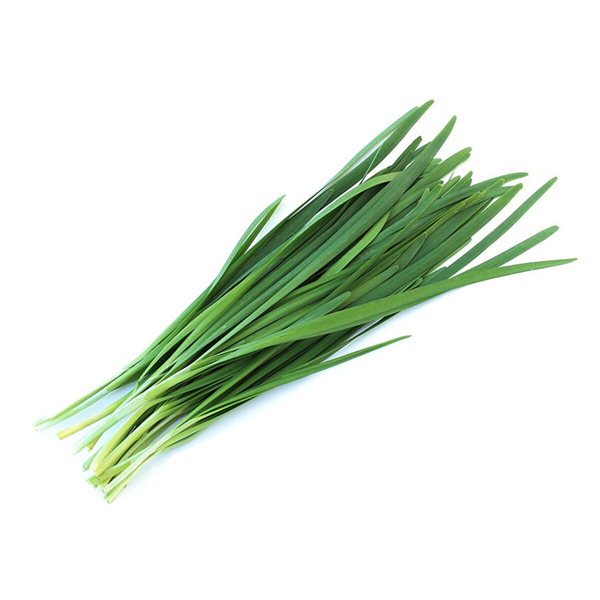 Oops! JavaScript is disabled