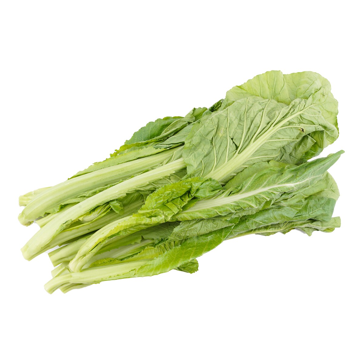 Small Gai-Choy (1.5lbs) | T&T Supermarket