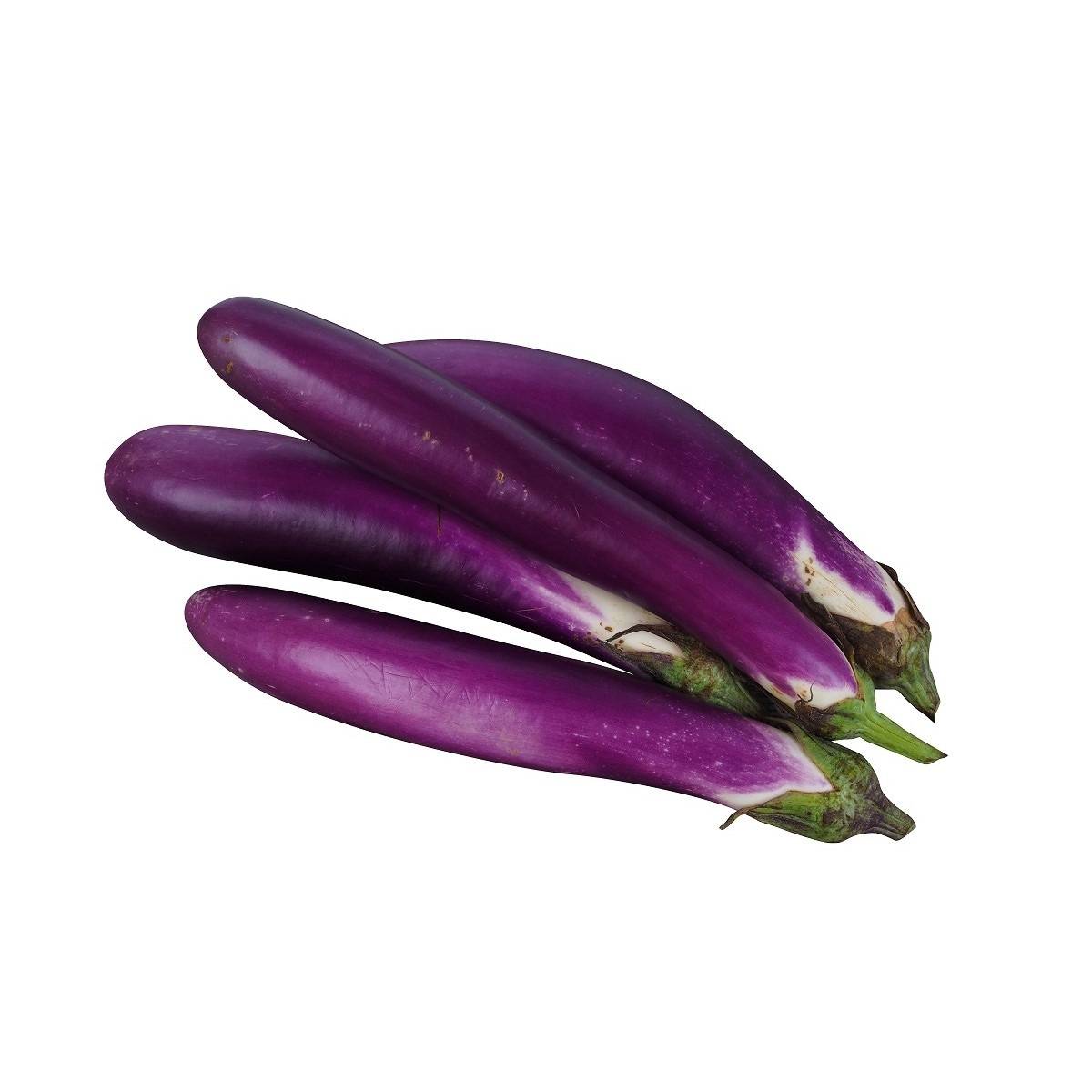 中国茄子/矮瓜(1.5lbs) | T&T Supermarket