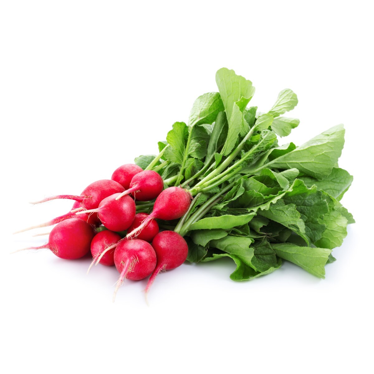 Bagged Radish | T&T Supermarket
