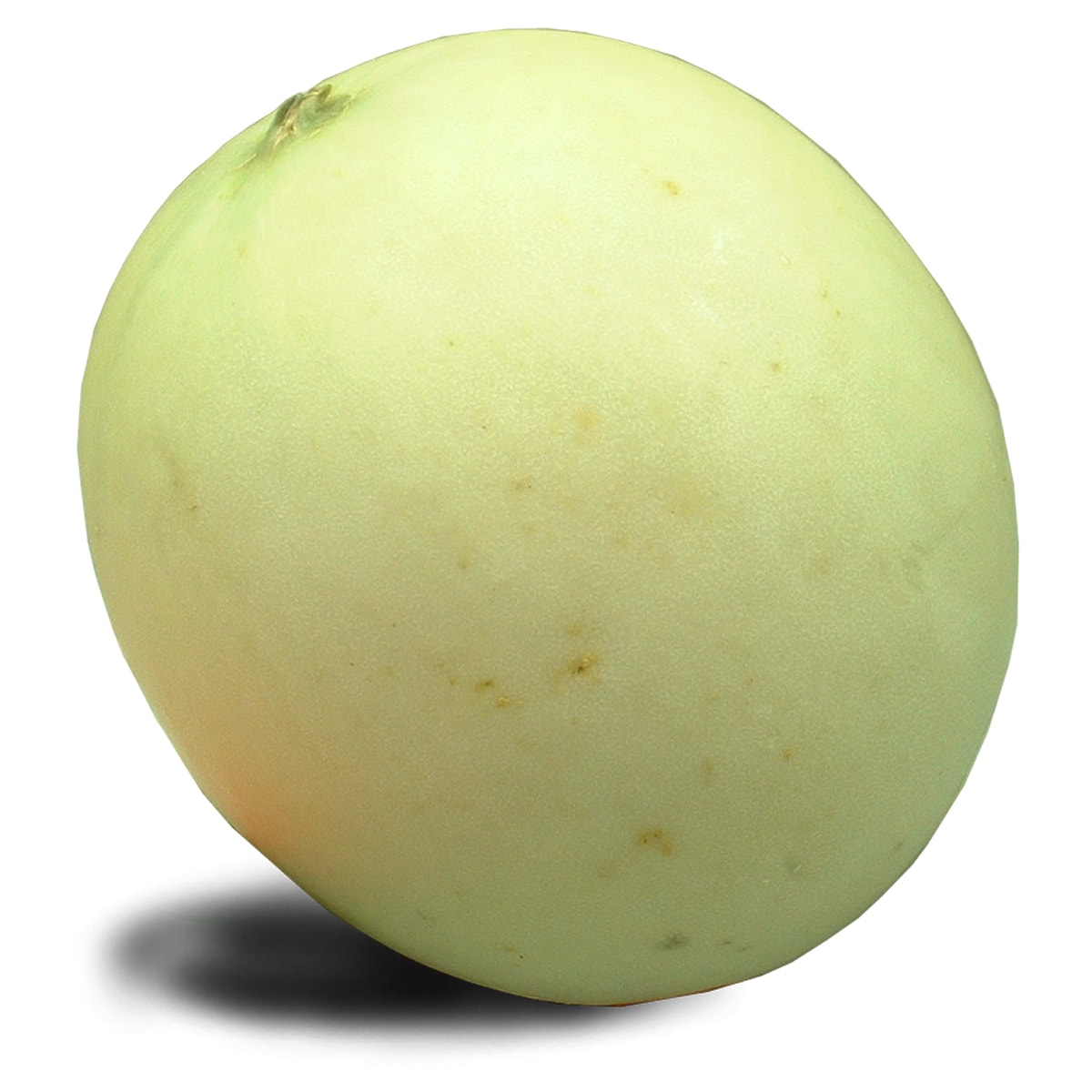 白石瓜果圖 白蜜瓜(~2lbs) ｜ 大統華超級市場
