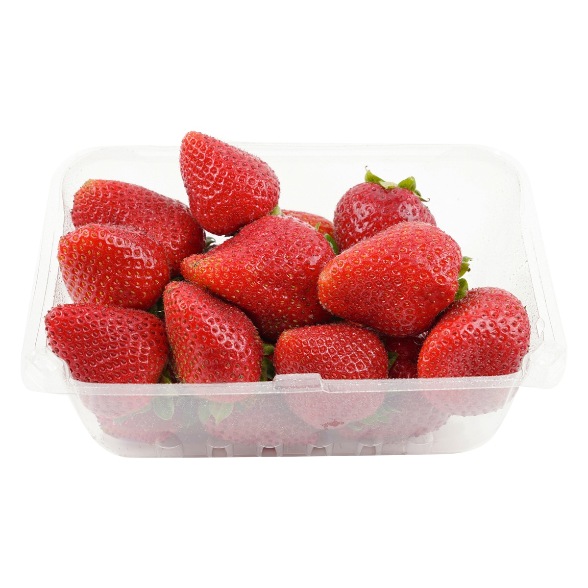 新到着 FRAISE Supermarket T&T | (1lb) トップス