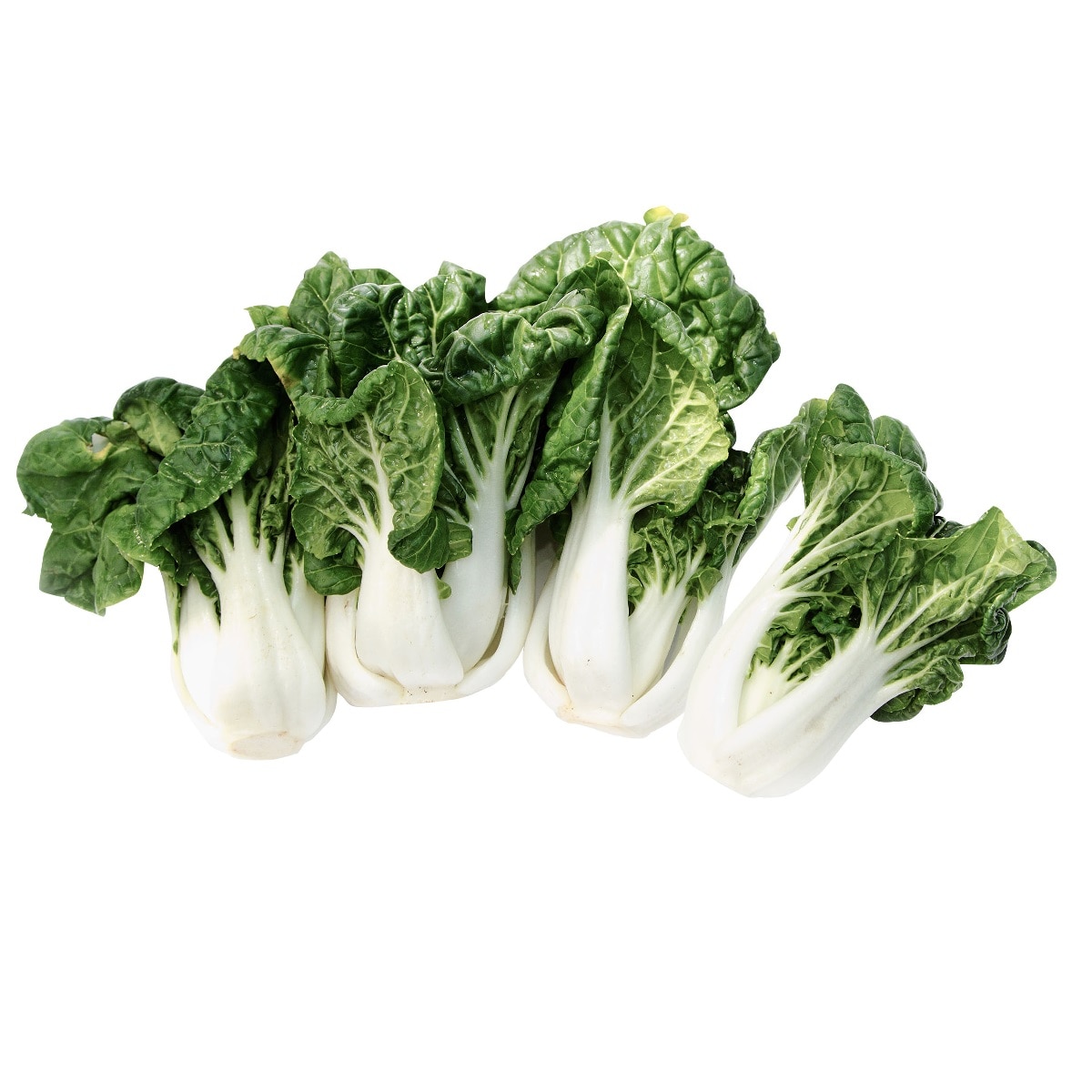BOK-CHOY (COURT) | T&T Supermarket