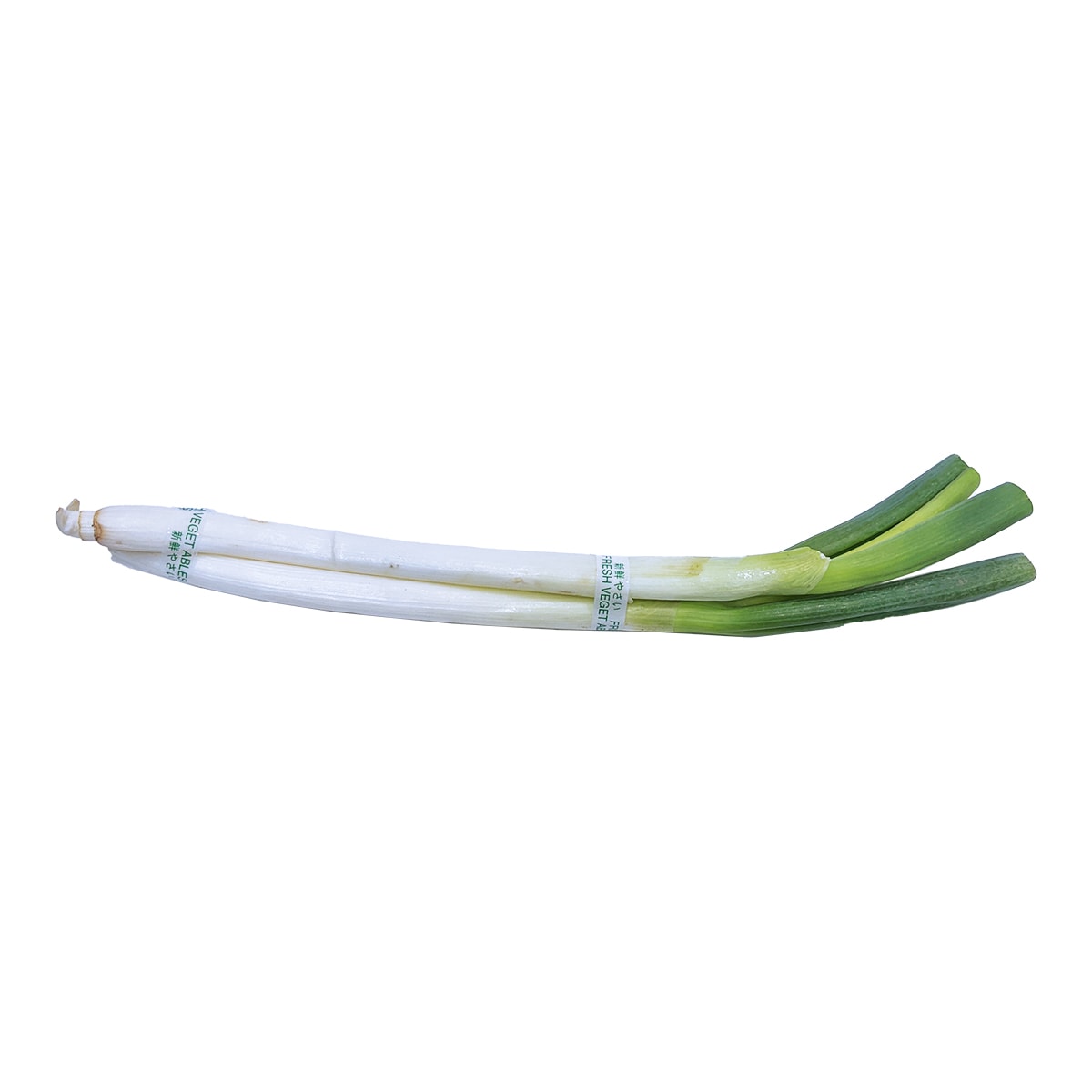 葱 Green Leek Onion (1bunch) ｜ 大统华超级市场