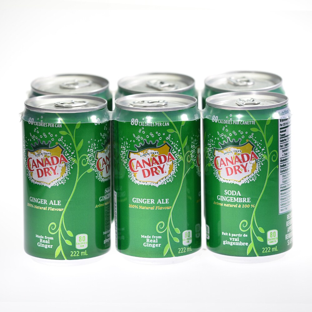 Canada Dry Ginger Ale Cans (222mlx6) ｜ 大統華超級市場