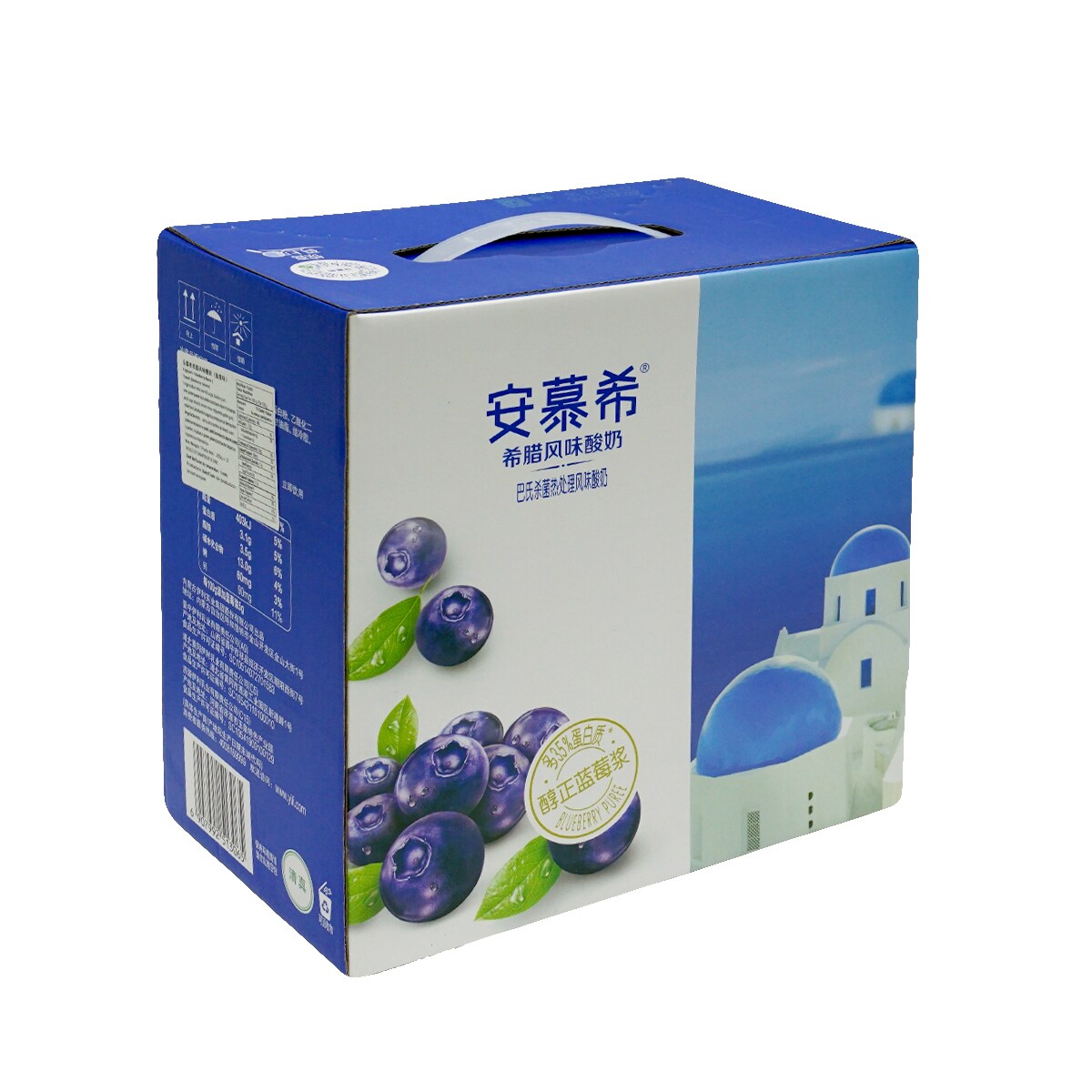 Yi Li Ambrosial Blueberry Yogurt 205gx12 | T&T Supermarket