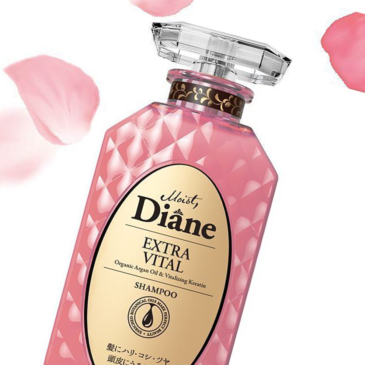 Oops! JavaScript is disabled