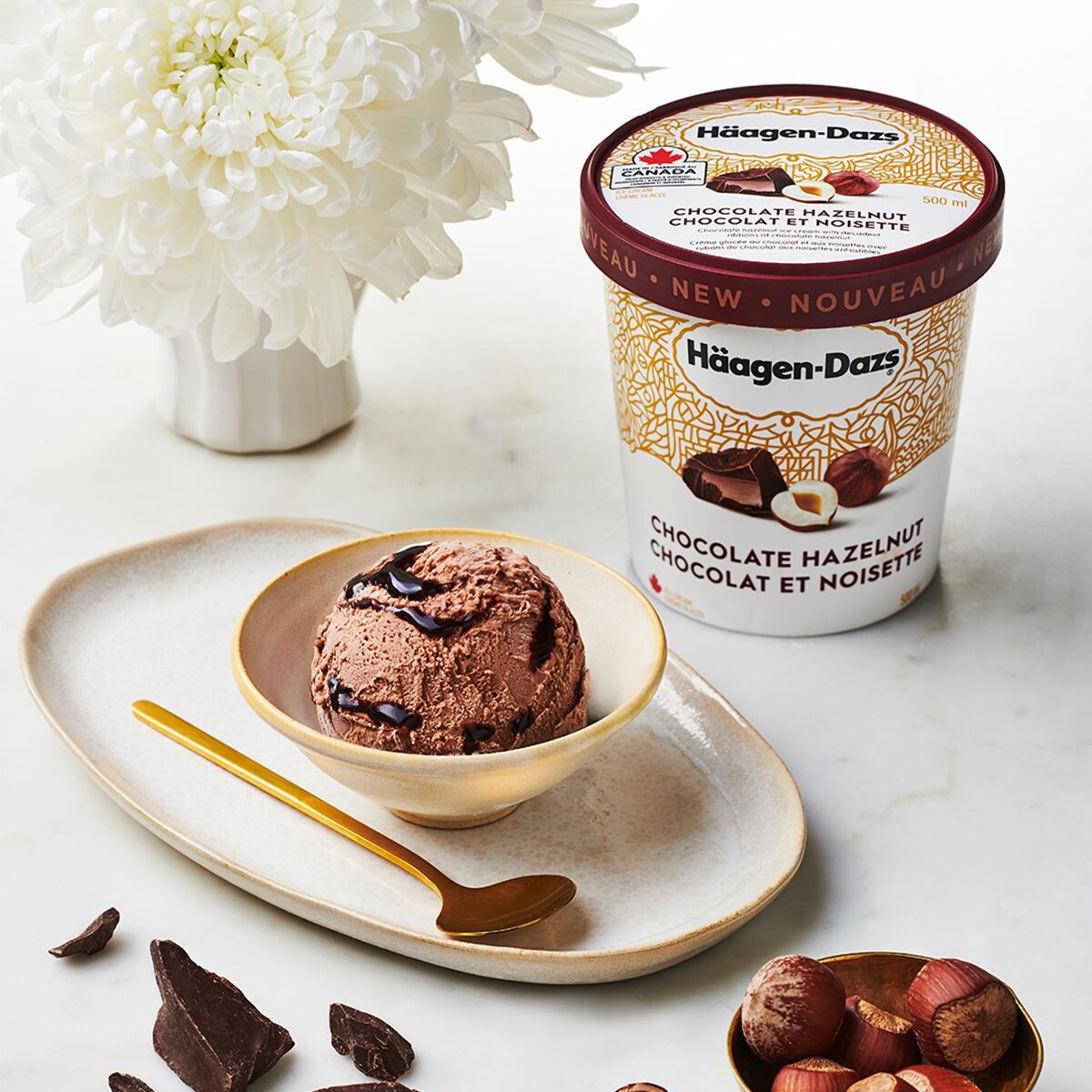 Haagen-Dazs Chocolate Hazelnut Ice Cream (450mL) | T&T Supermarket