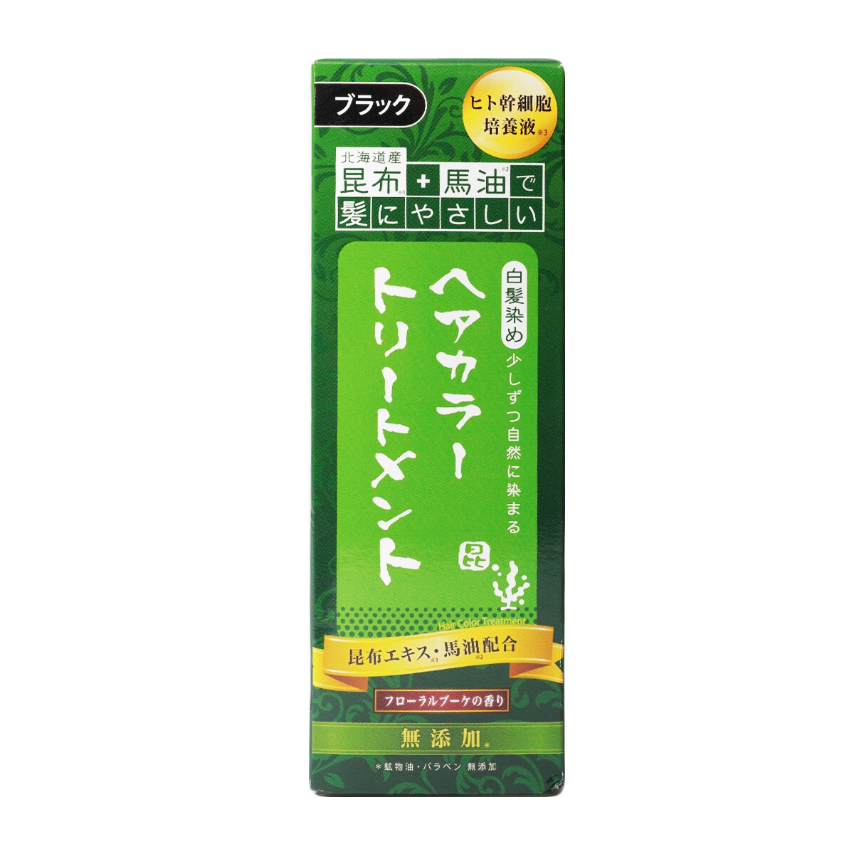 Rishiri Kombu Natural Hair Color Treatment Black (200g) | T&T