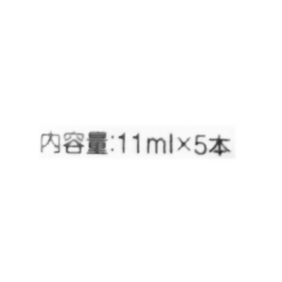 Okuchi Mouthwash Mint (11mlx5) ｜ 大统华超级市场