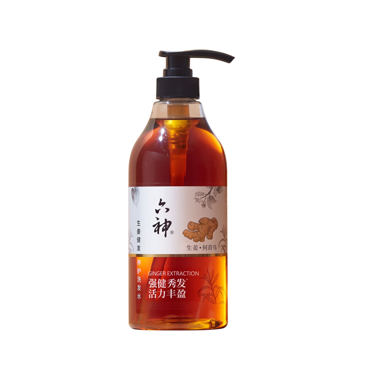 Liushen Ginger Shampoo (750ml) ｜ 大统华超级市场