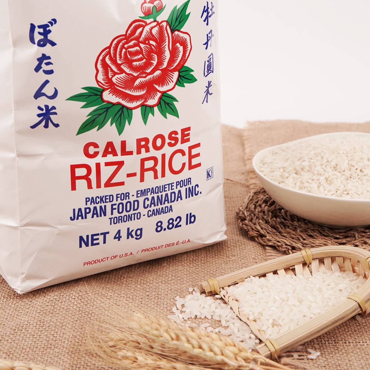 Oops! JavaScript is disabled