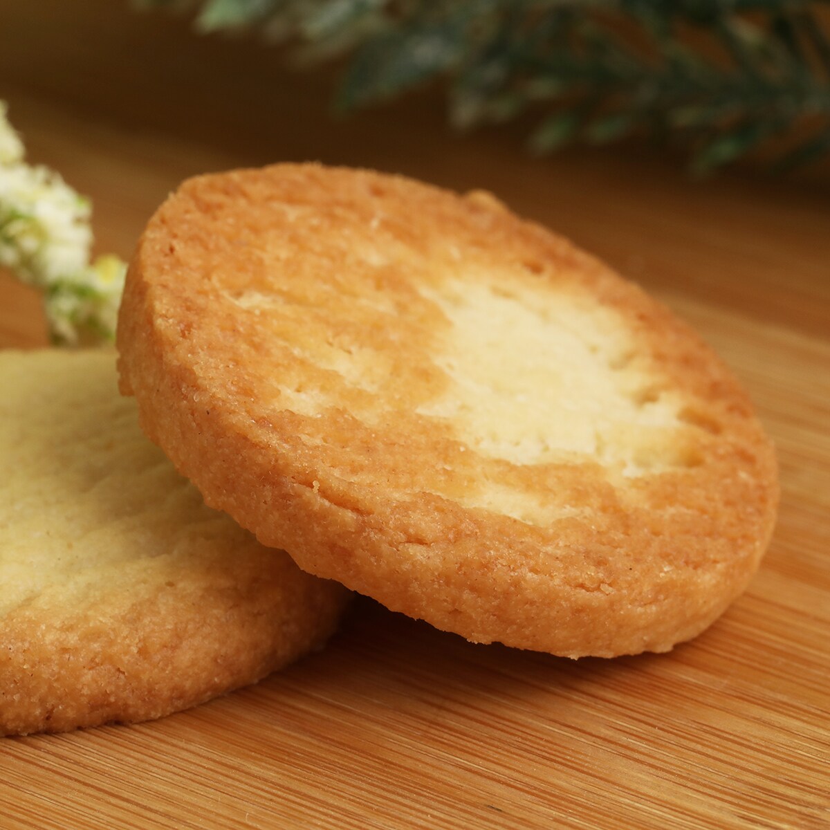 Oops! JavaScript is disabled