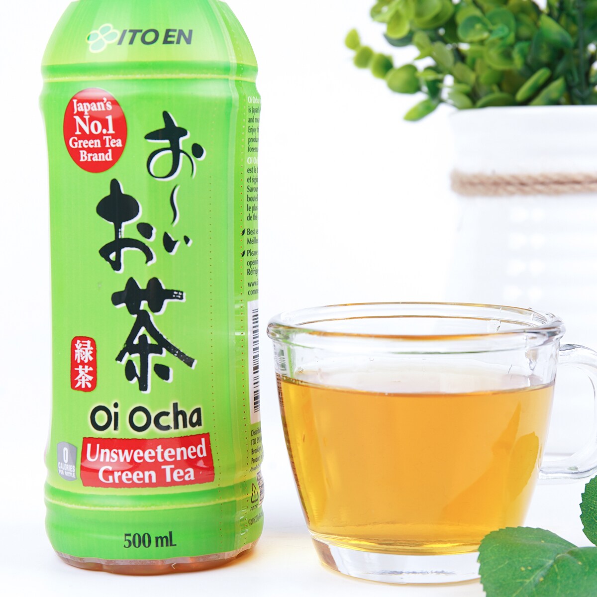 Itoen Unsweetened Green Tea (500mL) ｜ 大統華超級市場