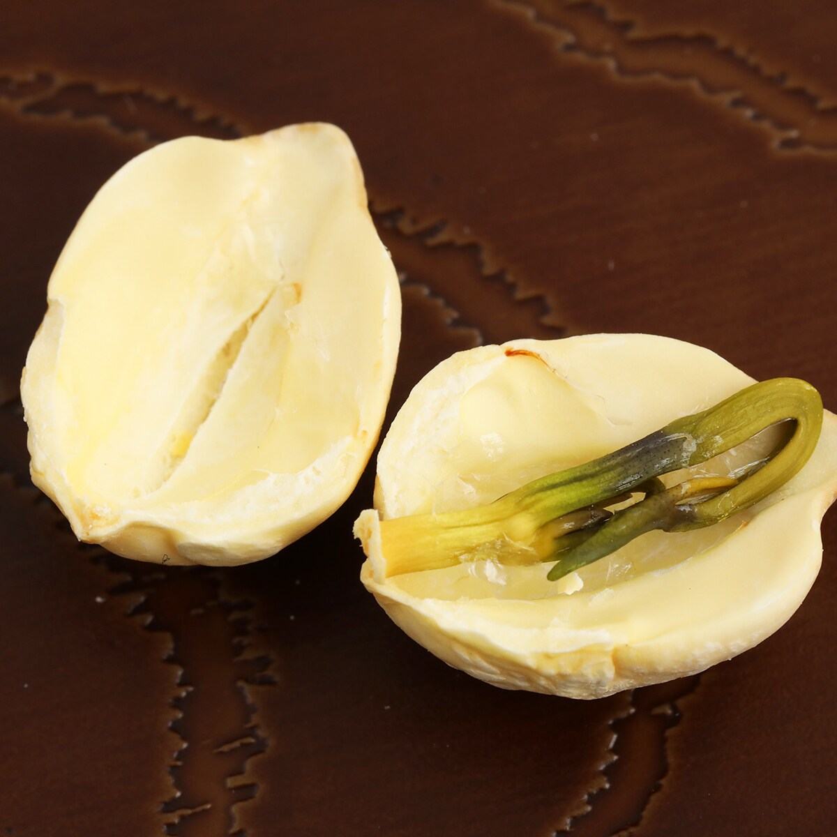 Kingo Dried Lotus Seed (227g) ｜ T&T Supermarché