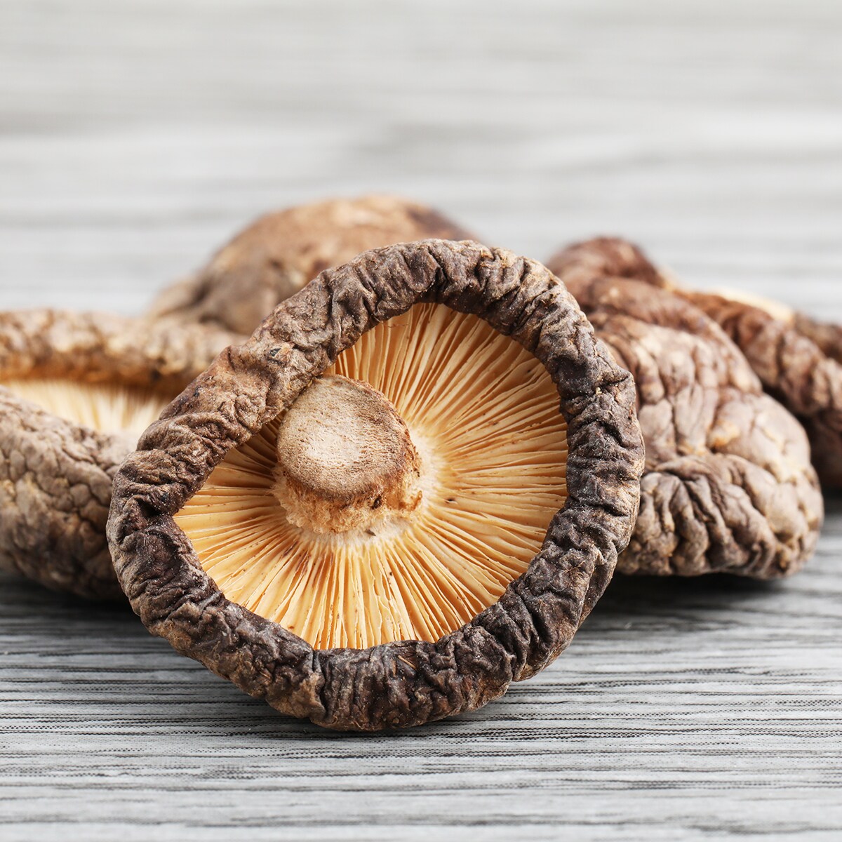 Dong Ming Da Qiao Dried Mushroom (170g) ｜ 大统华超级市场
