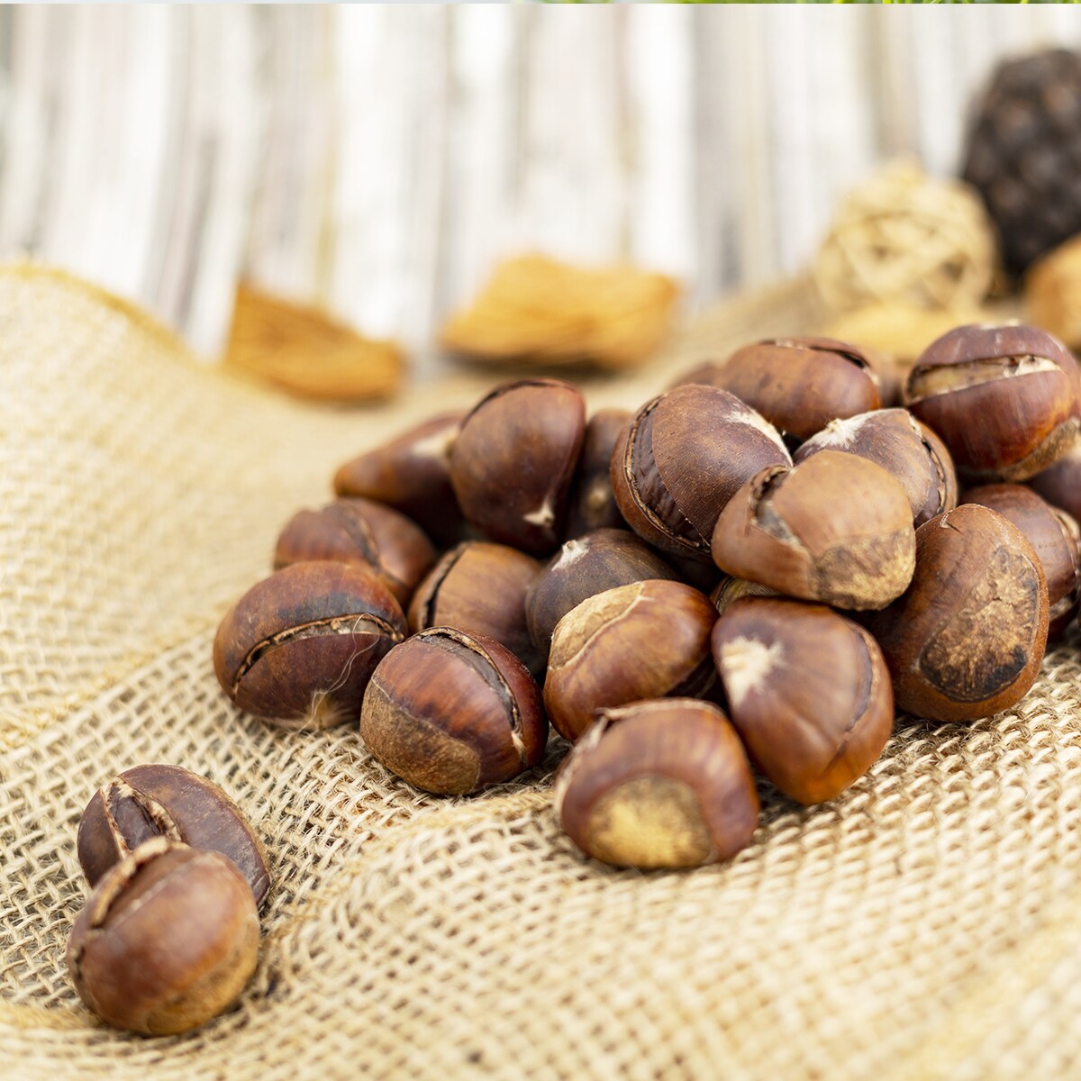 Oops! JavaScript is disabled