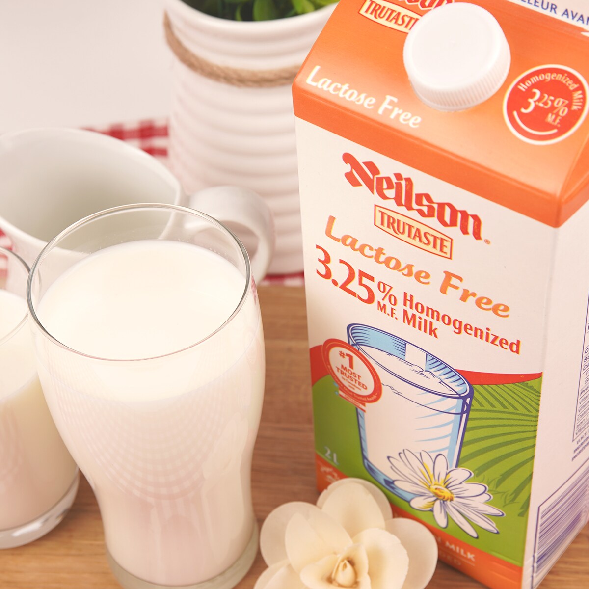 Neilson Trutaste Lactose Free 3.25% Homogenized Milk (2L) ｜ 大統