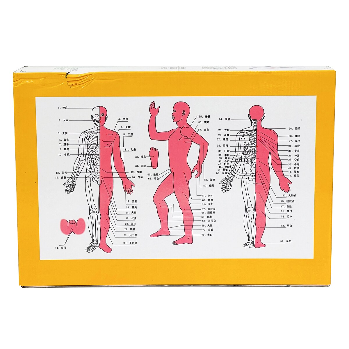 Pressure Point Knockout Chart