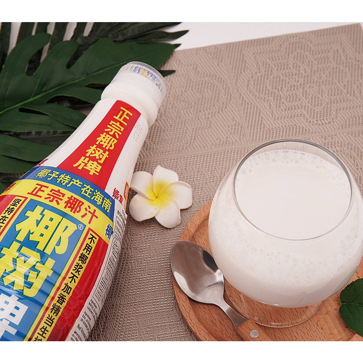 ≪椰子≫ 楽天市場】【月間優良ショップ 8度受賞】 新品 パタゴニア
