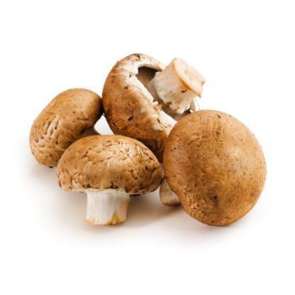 SOLD): HOMMA, Takashi. Scandinavian Mushroom. - Cult Jones