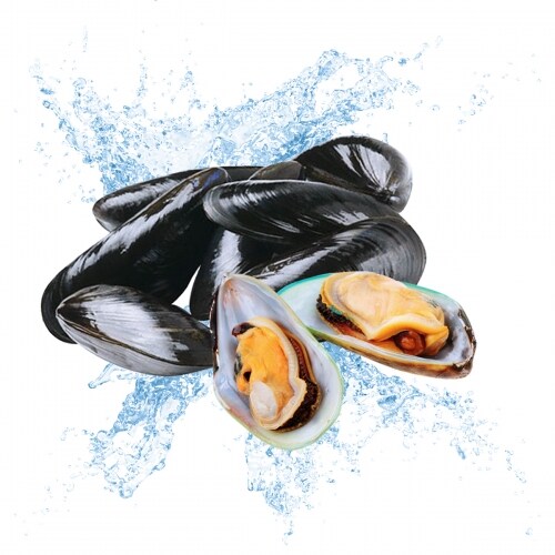 Live Mussel(Around 2.5 Lbs/Pack) T&T Supermarket