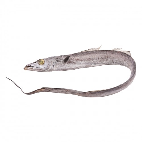 White Belt Fish 2.2lb T&T Supermarket