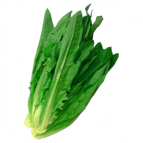 Chinese Lettuce 2lb/bag T&T Supermarket