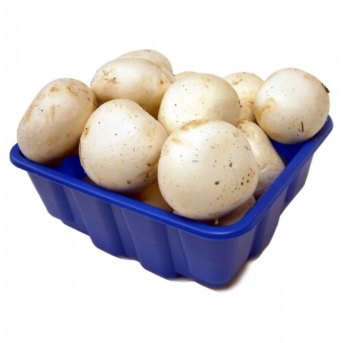 Jumbo Mushroom (1lb/PK) T&T Supermarket