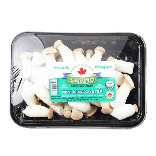 ORGANIC MINI KING OYSTERS MUSHROOM T&T Supermarket