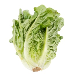 白菜苗(2lbs) ｜ T&T Supermarché