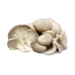 Metal Mushroom Lamp – Bouclair
