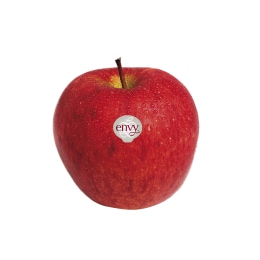 洋楽 Bitter Apples Envy Apple (2.8lbs) ｜ 大统华超级市场