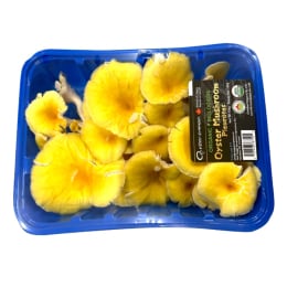 Mushroom - Medium (0.5lbs) | T&T Supermarket