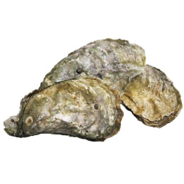 生猛游水單拑龍蝦(~1-3lbs) | T&T Supermarket