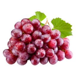 葡萄 Manufacturer, Supplier, Factory BGF REAR LEFT DRUM BRAKE