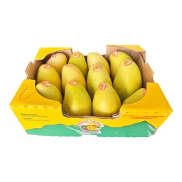 送料無料 激レア国内LP2枚まとめ売り　WATER MELON GROUP他 愛媛みかん 600g（4～7コ入・M～2L混合）| コープこうべネット