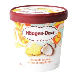 Häagen-Dazs Pineapple Coconut Ice Cream (450mL) ｜ 大統華超級市場