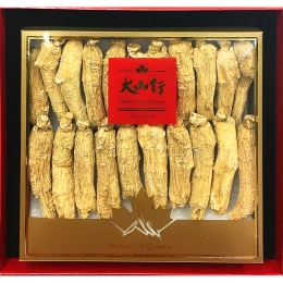 Great Mountain Gm On Ginseng-XL-Med-Short (200g)