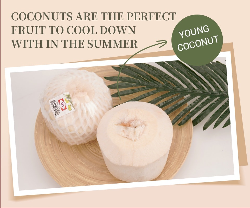 Young Coconut 1 Each T&T Supermarket